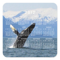 Breaching Humpback; 2012 Calendar Square Sticker