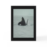 Breaching Orca Greeting Card