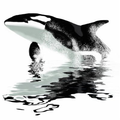 "BREACHING ORCA" Killer Whale Photo Sculpture by RavenSpiritPrints