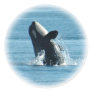 Breaching Orca Stickers
