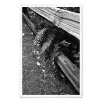 Break on Through Photographic Print