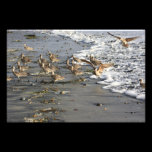 Breakfast on the Beach photography