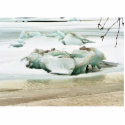 Breaking Ice photo sculptures
