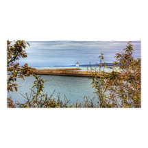 Breakwall Through the Trees Customized Photo Card