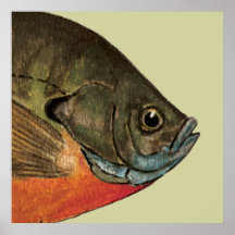 Bream Fishing Posters