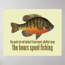 Bream Fishing Print