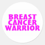 Breast Cancer Warrior Cancer Awareness Stickers