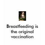 Breastfeeding is the original vaccination tshirts