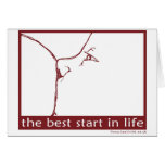 Breastfeeding - the best start in life cards
