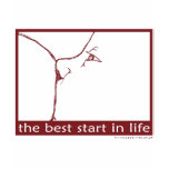 Breastfeeding - the best start in life t-shirts