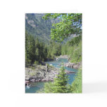 Breathtaking National Forest cards