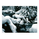 Breathtaking Winter Scene Postcard
