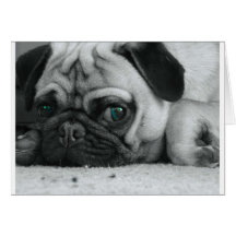 breena pic greeting card