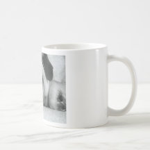 breena pic mugs