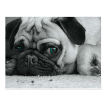 breena pic post card