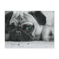 breena pic post card
