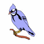 Breezee Blue Jay Acrylic Cut Outs