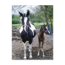 Breezie n Zura Post Cards
