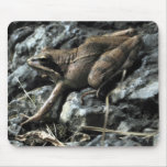 Brekeke Frog mousepads