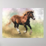 Breton draught   horse foal print
