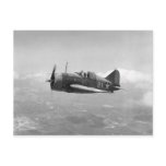 Brewster Buffalo Postcards