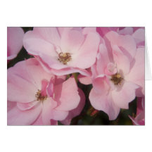 Briar Rose • Greeting Card