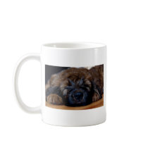 briard puppy coffee mugs