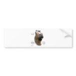Briard (tawny) History Design bumper stickers