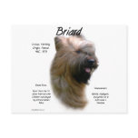 Briard (tawny) History Design postcards
