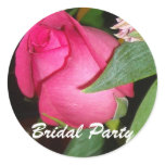 Bridal Party