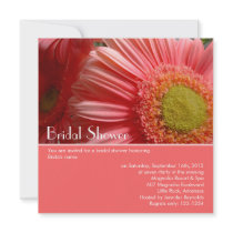 Bridal Shower Invitation