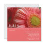 Bridal Shower Invitation