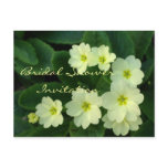 Bridal Shower postcards