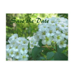 Bridal Wreath Save the Date postcards