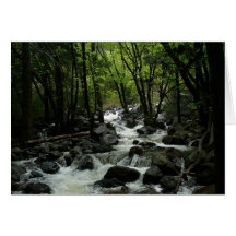 Bridalveil Creek Card
