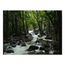Bridalveil Creek Photo Print