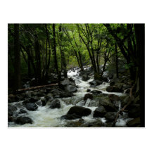Bridalveil Creek Postcard