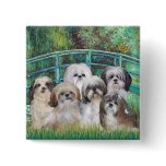 Bridge - 6 Shih tzus buttons