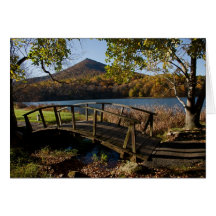 bridge at the peaks cards