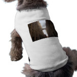 Bridge Between Two Skyscrapers, New York City pet clothing