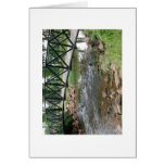 bridge card
