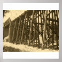 Bridge in Sepia posters