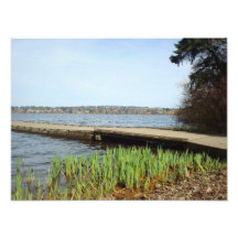 Bridge On The Water Photo