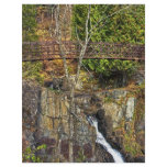 Bridge over Chester Creek Flyers