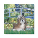 Bridge - Shih Tzu (brown and white) magnets