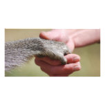 Bridge The Gap Picture Card