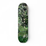 Bridge To Strawberry Hill On Stow Lake In Golden G skateboards