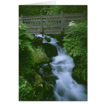 Bridge To Tranquillity Card