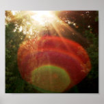 Bridging the Dimensional Divide Poster