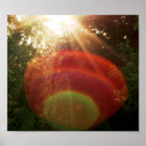 Bridging the Dimensional Divide Poster